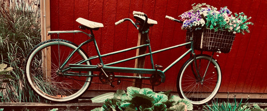 Cycles In TIme