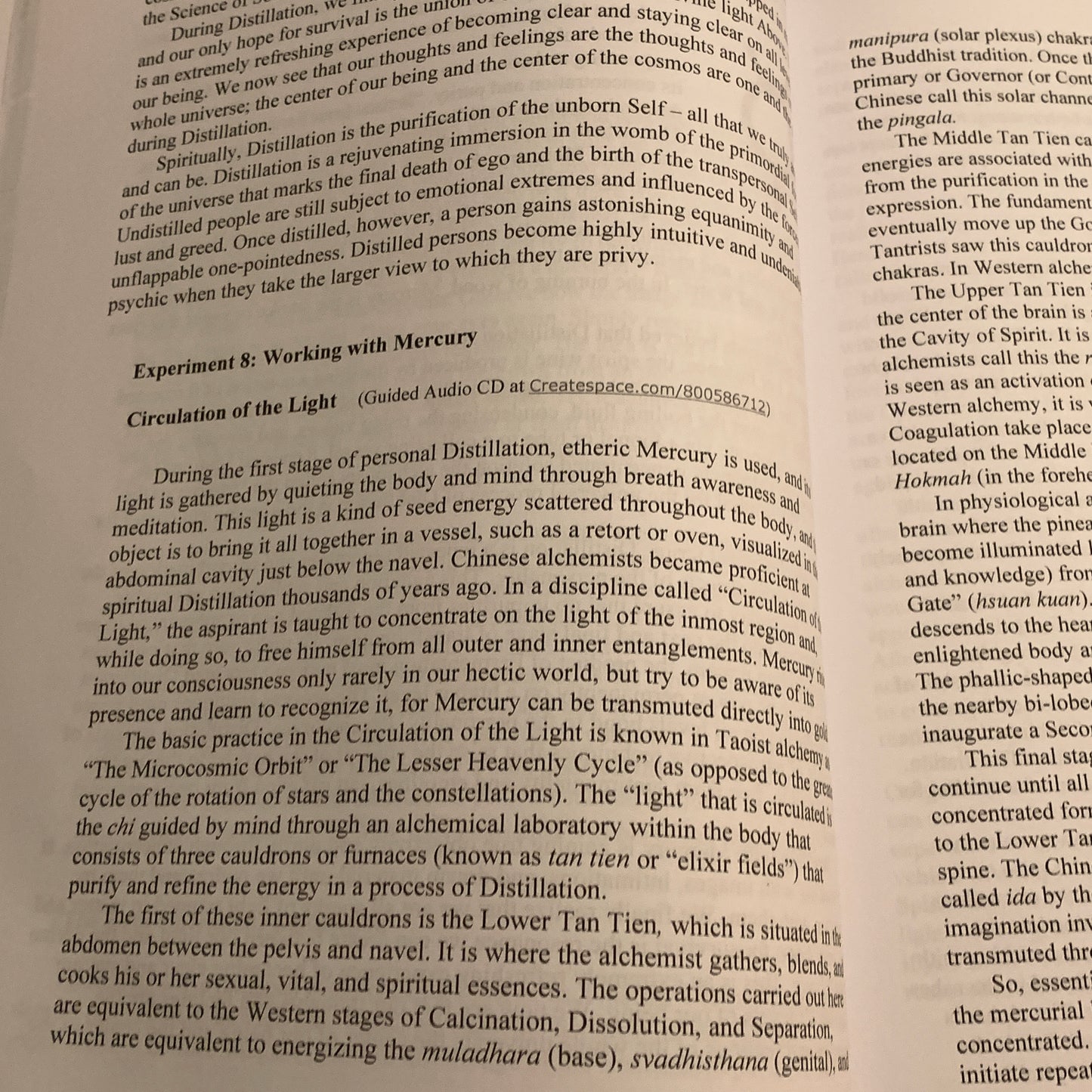 look inside the book Alchemistic Philosophy