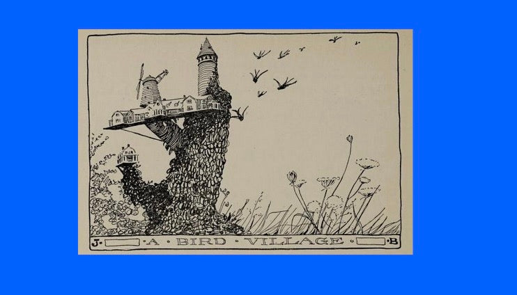 Bird Harmony