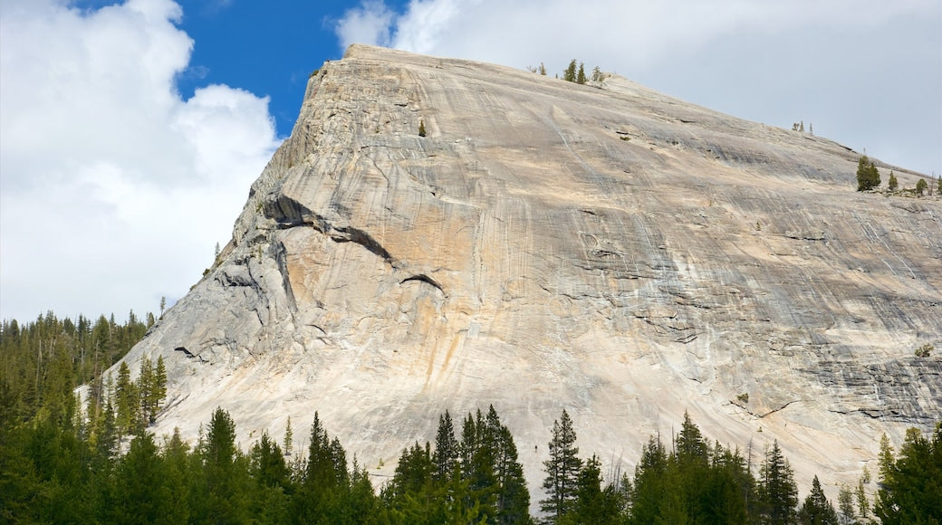 Climbing Lembert Dome