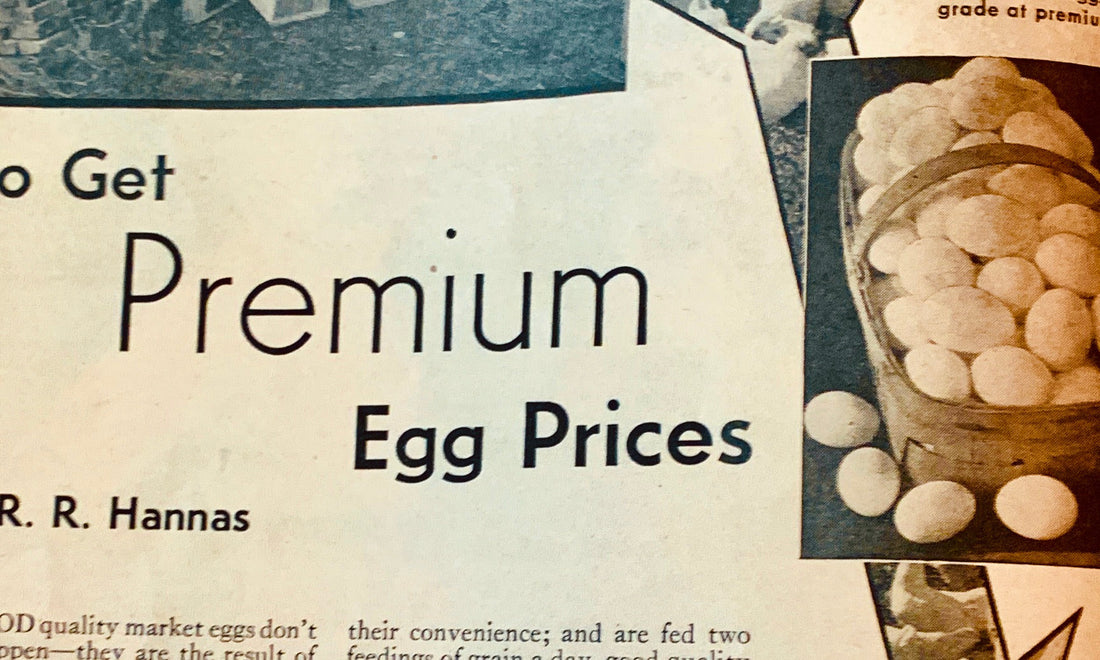 Poultry Farming In 1934