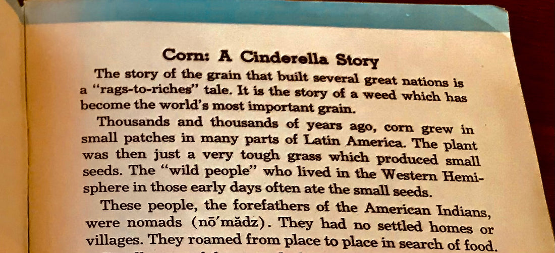 Vintage Books -Corn:A Cinderella Story