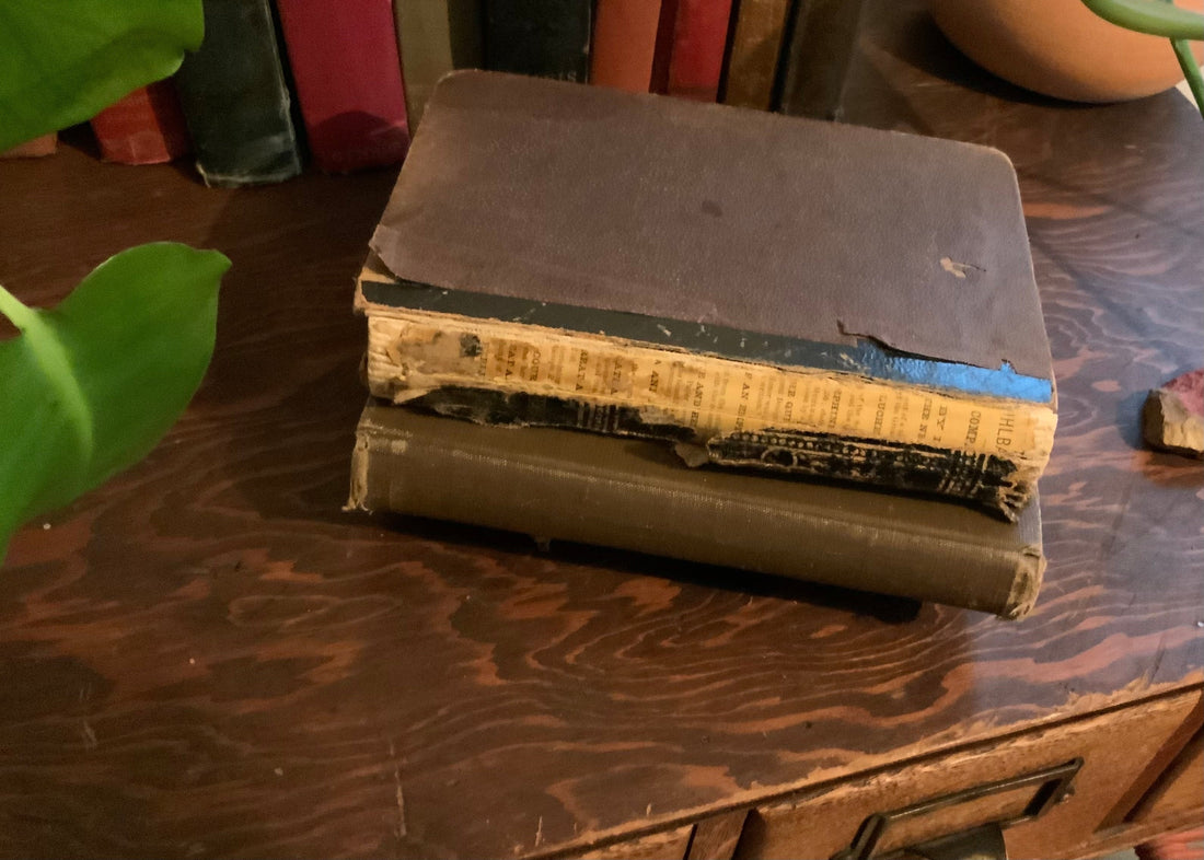 Favorite Old Book - 1896 A Natural Philosophy