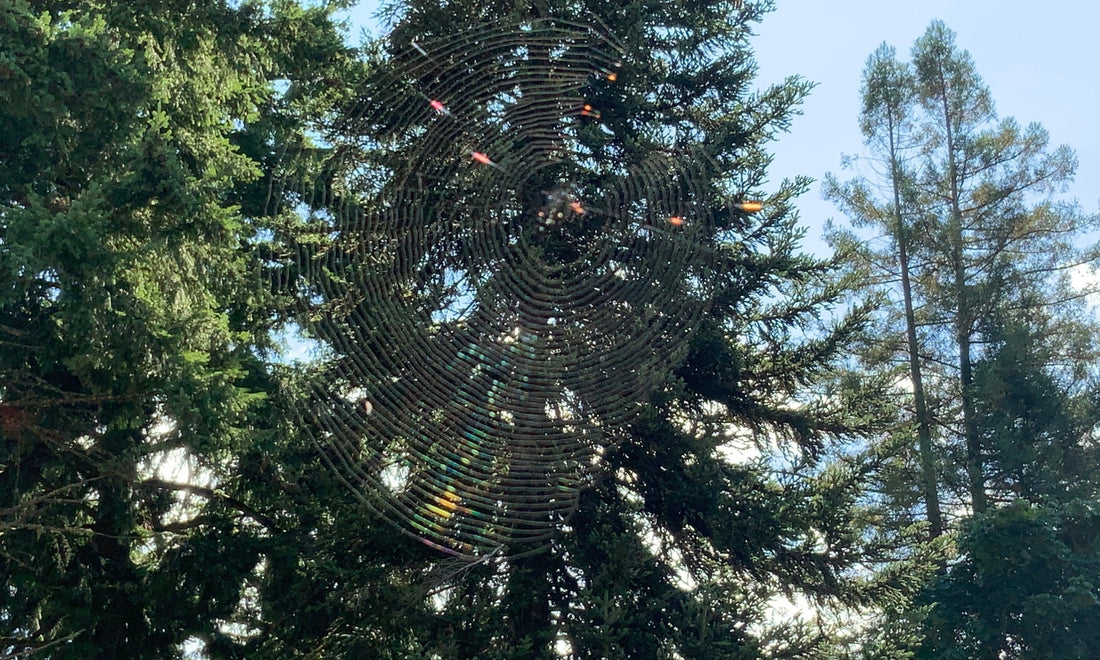 gossamer days of August