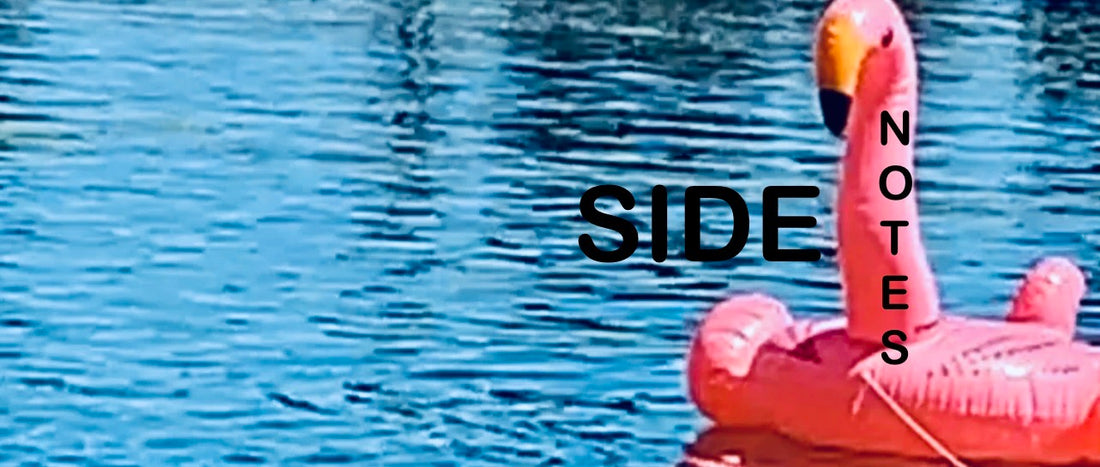 SIDE NOTE- Chemistry of Things-Decomposition of Water