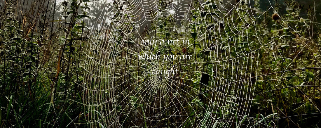 Perceiving Walt Whitman