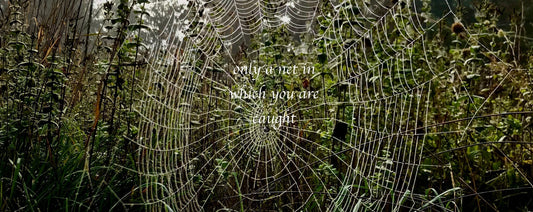 Perceiving Walt Whitman