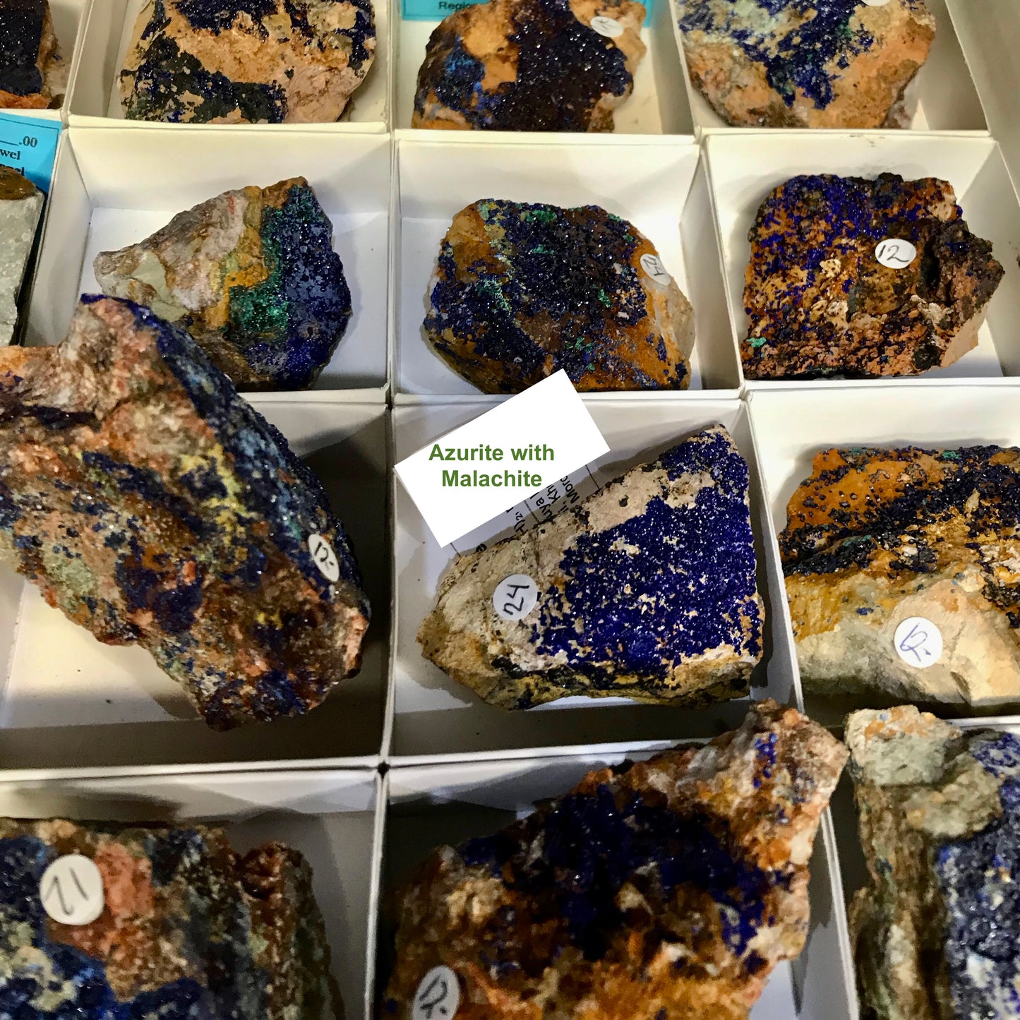 Azurite with malachite rough specimens