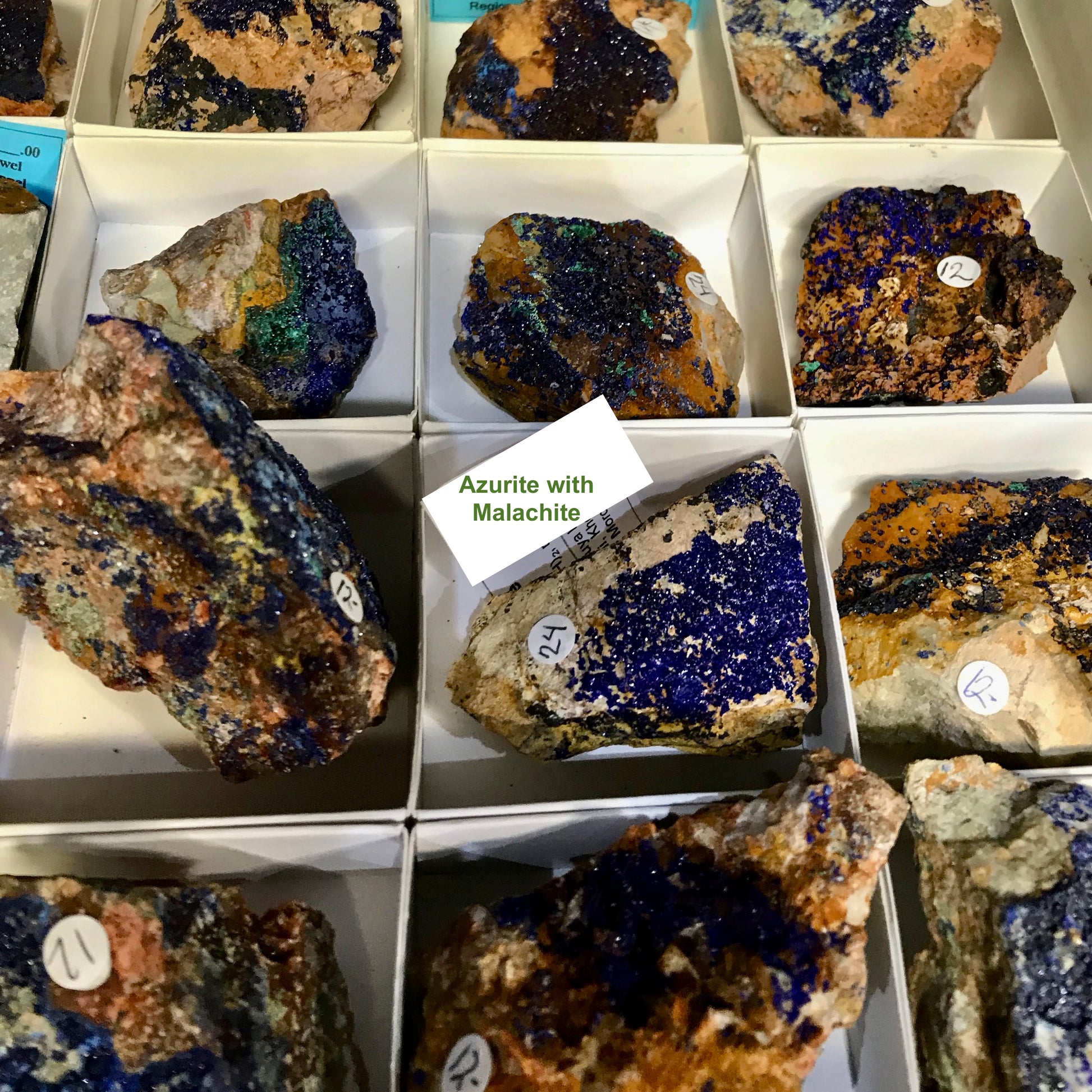Azurite with malachite rough specimens