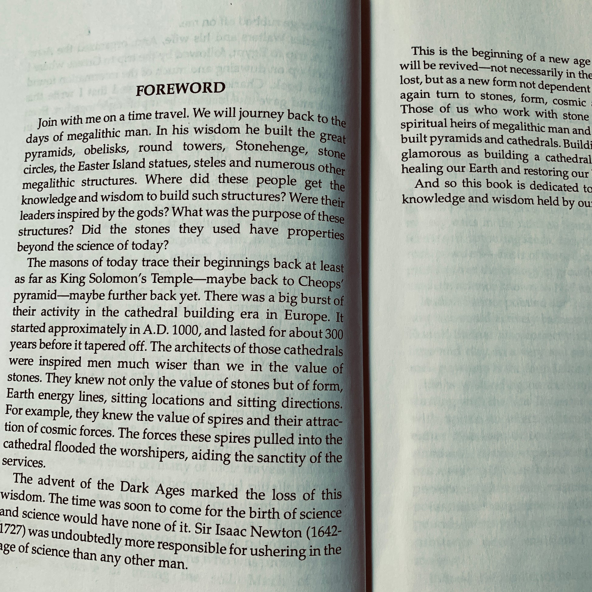 page of enlivened rock powders