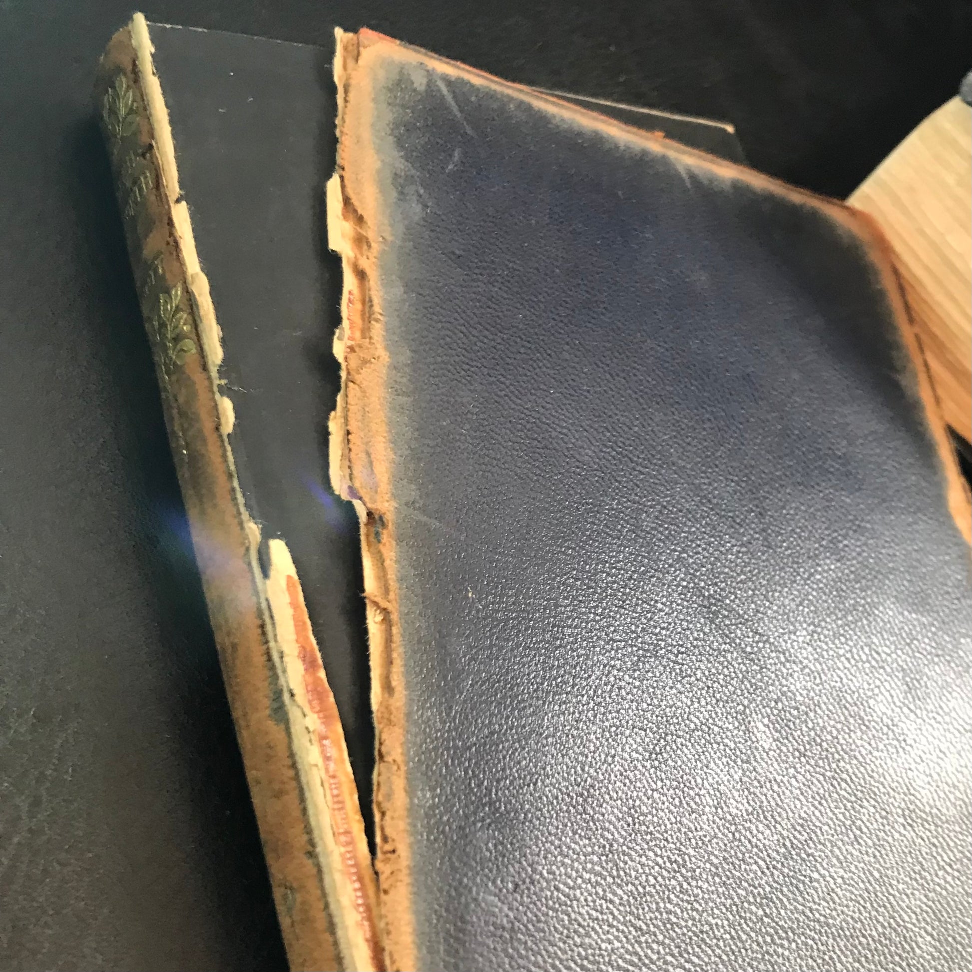 Vintage Book Kenilworth Walter Scott