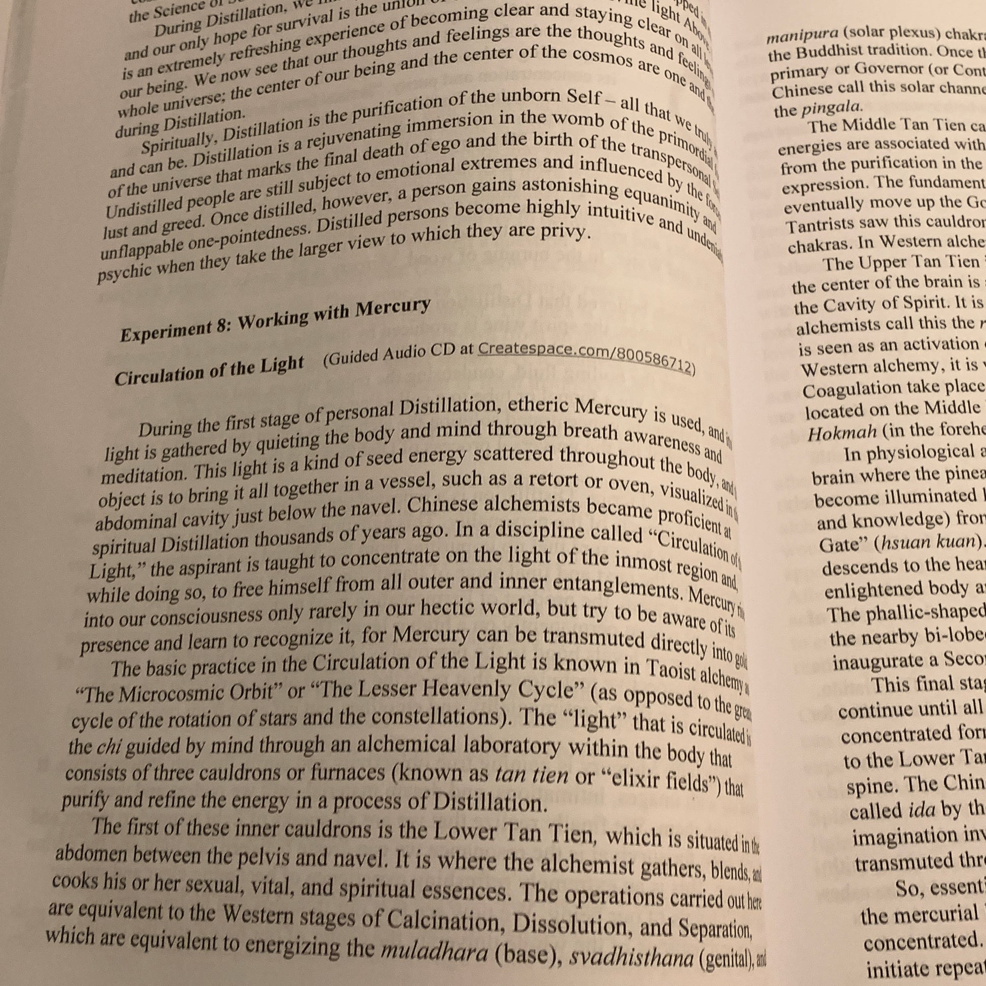  look inside the book Alchemistic Philosophy