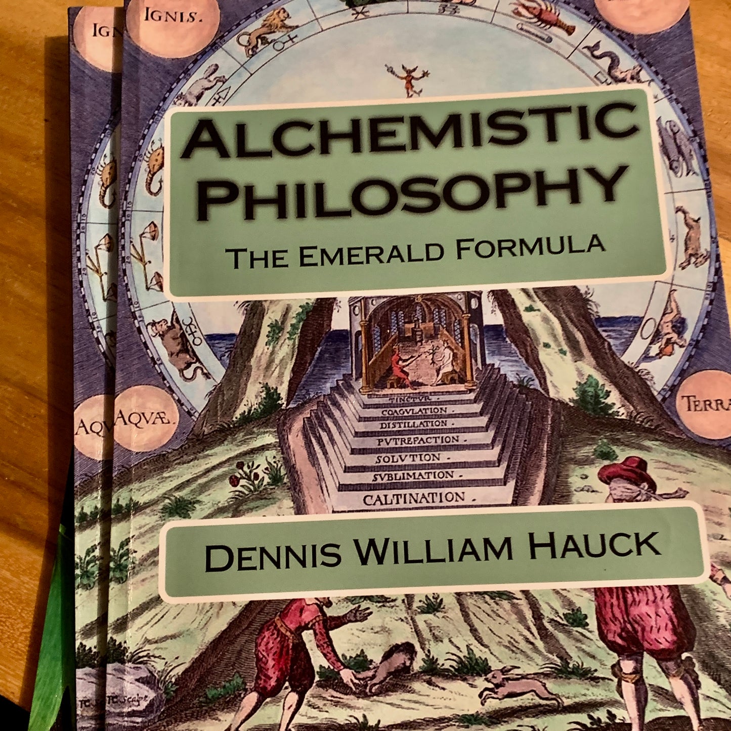 alchemistic philosophy by dennis william hauck