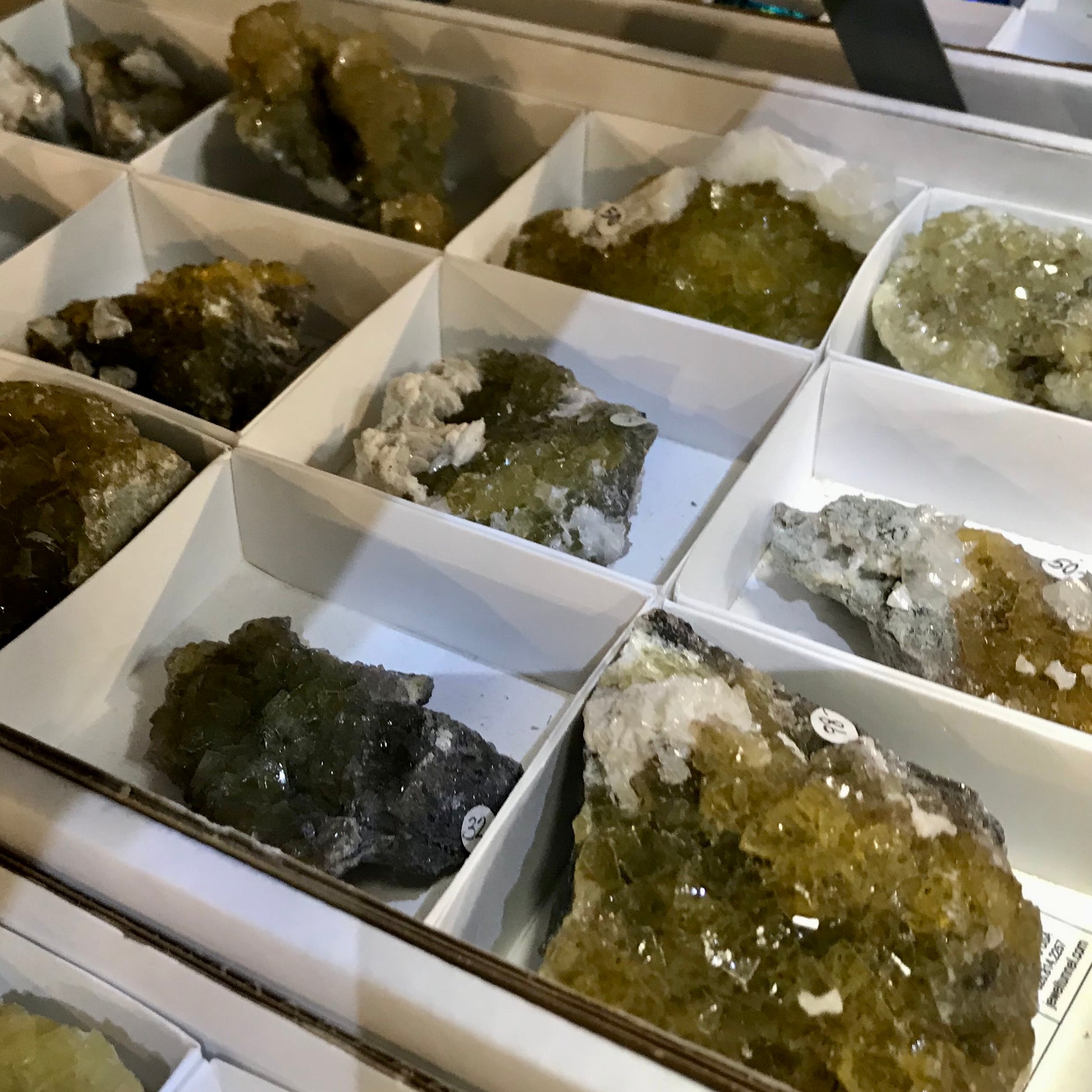 boxed fluorite crystals