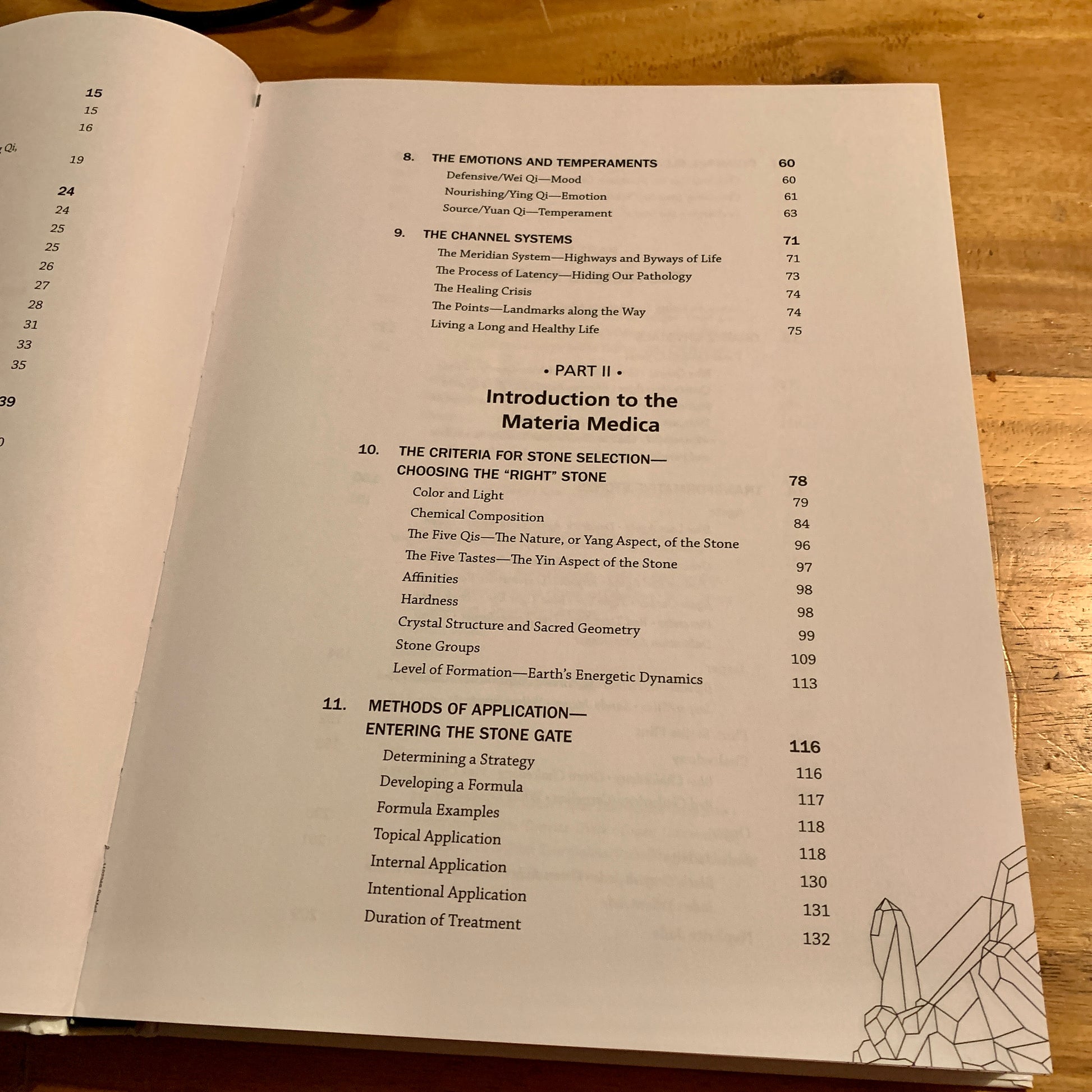 chapters of Stone Medicine book