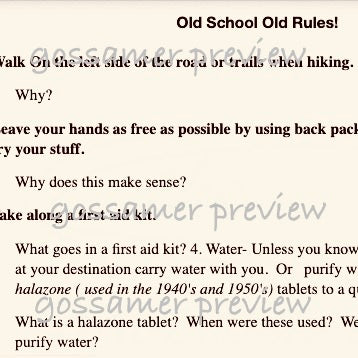 gossamer learning packet 3825 old school rules
