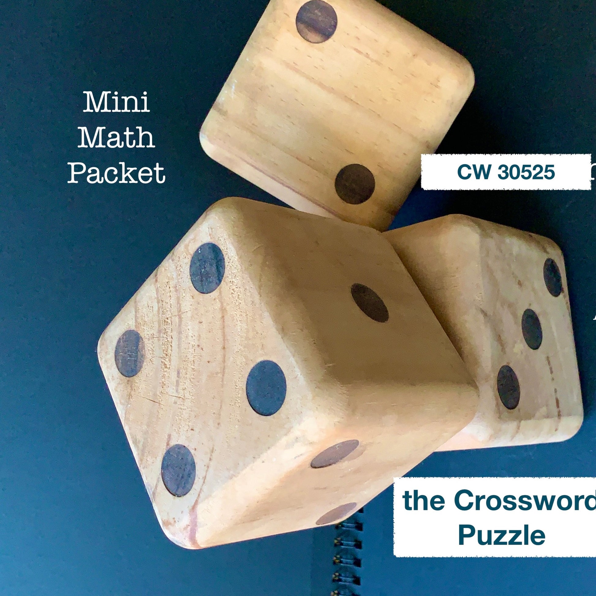 gossamer learning puzzle cw 30528