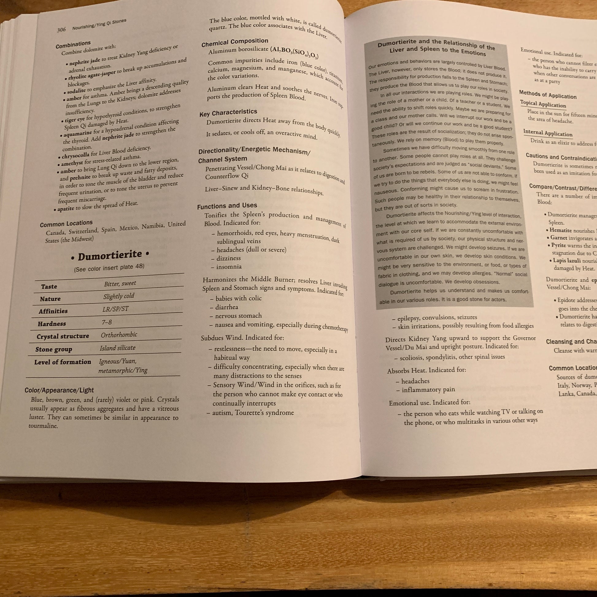 inside pages of Stone Medicine book