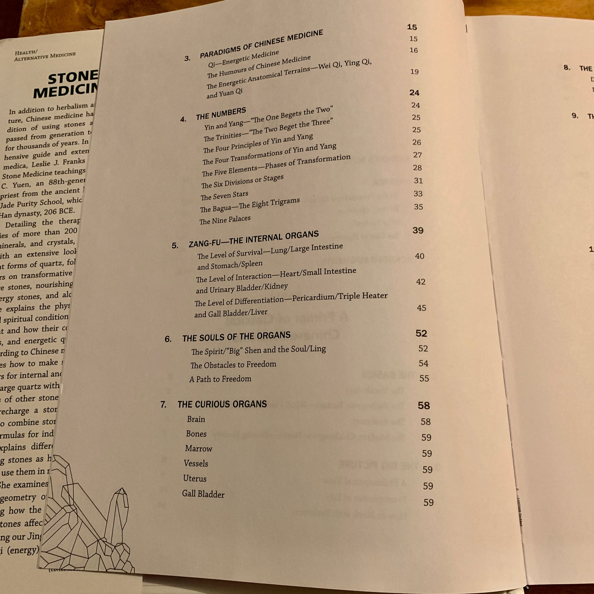 more chapters of Stone Medicine book
