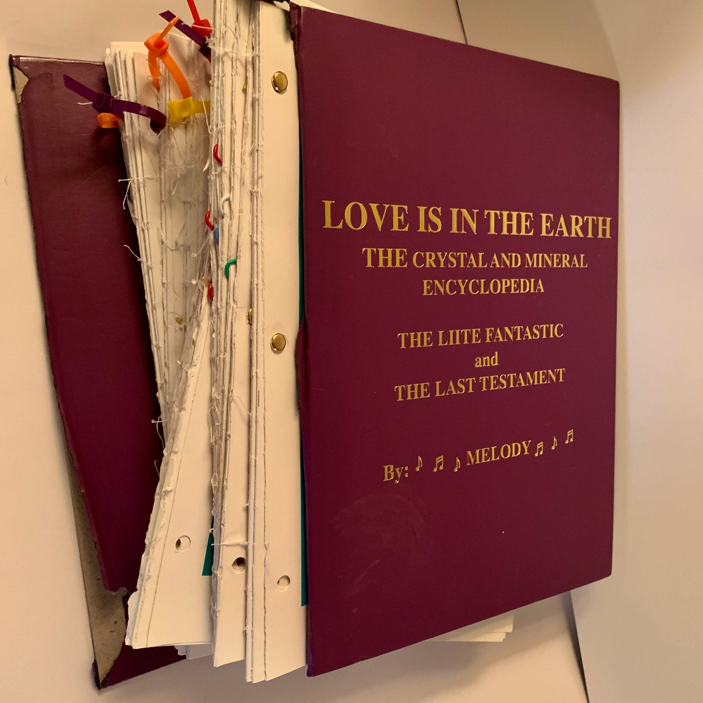 my copy of Love Is In The Earth by Melody