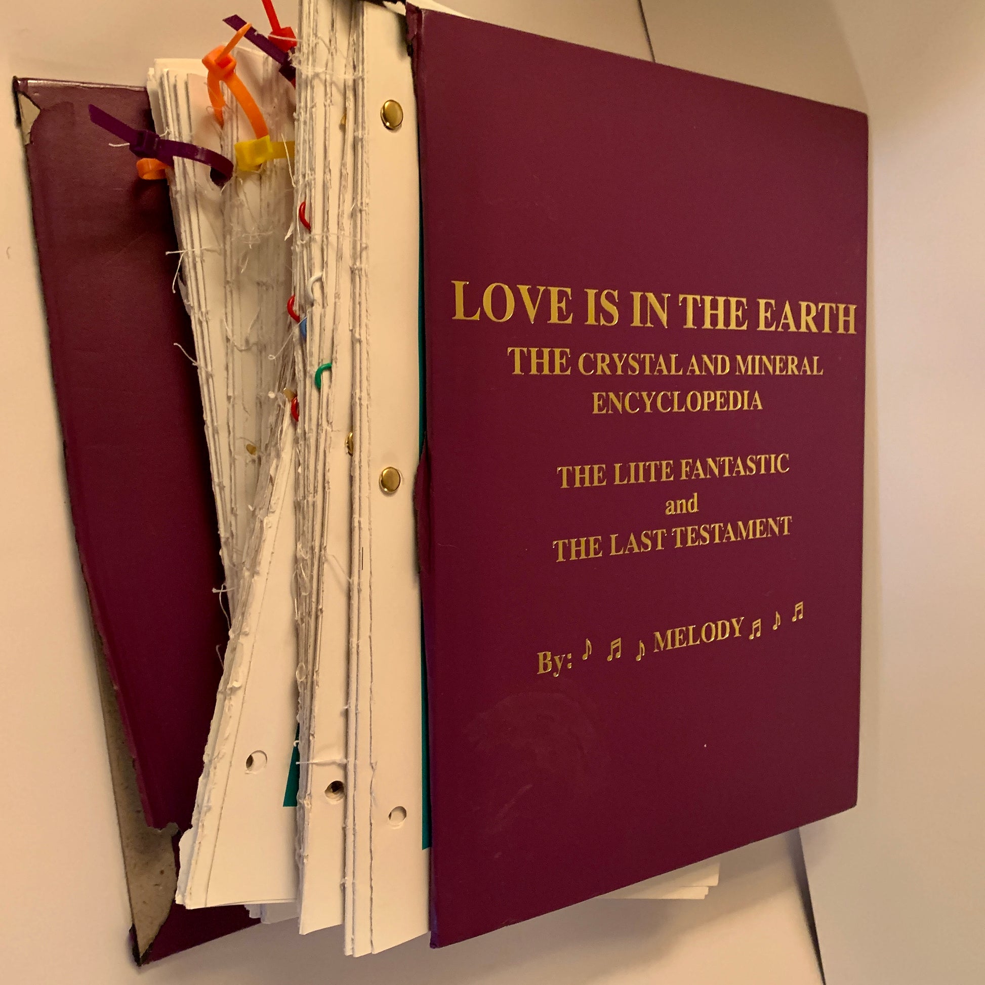my copy of Love Is In The Earth by Melody