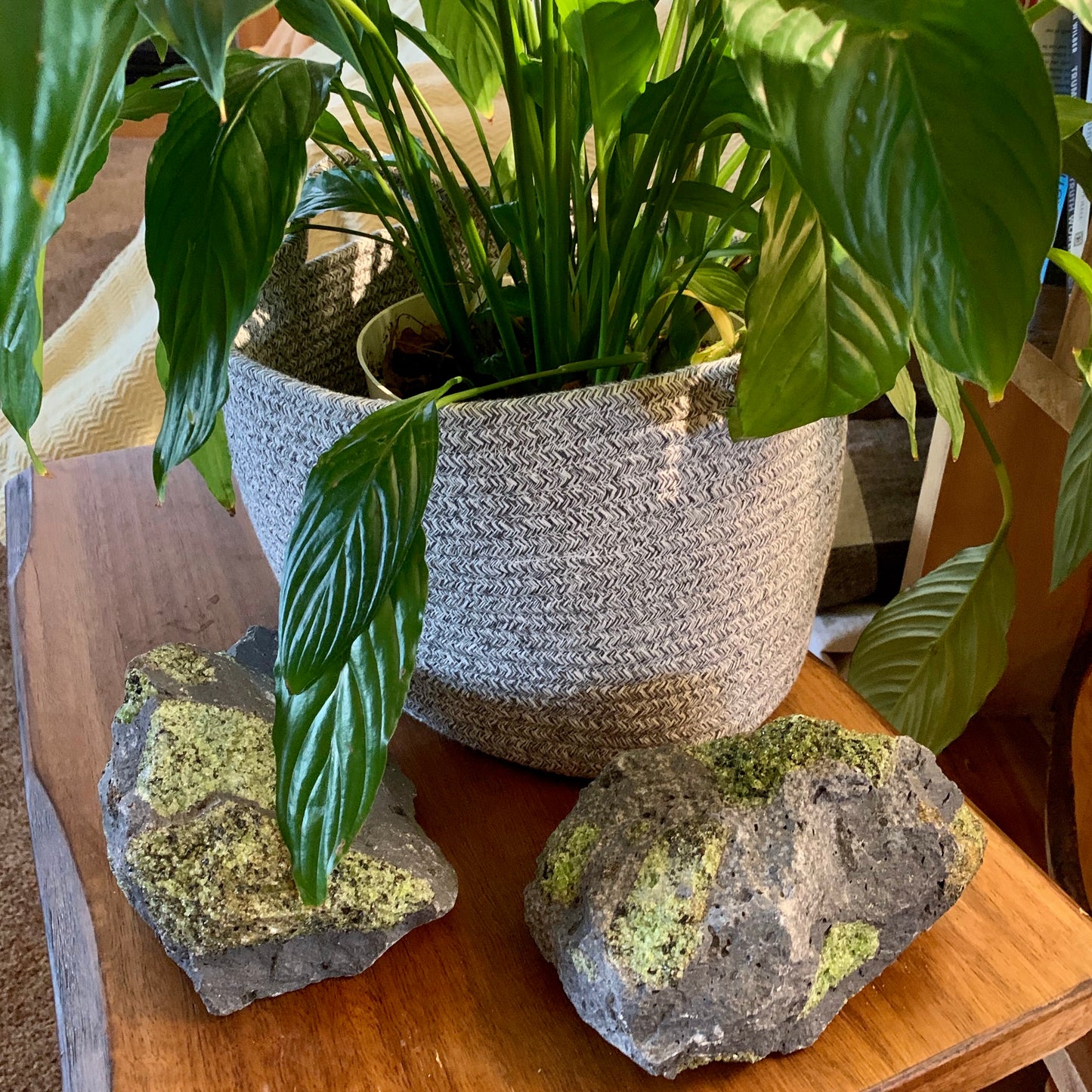 peridotstone as a warm energy in gathering spaces
