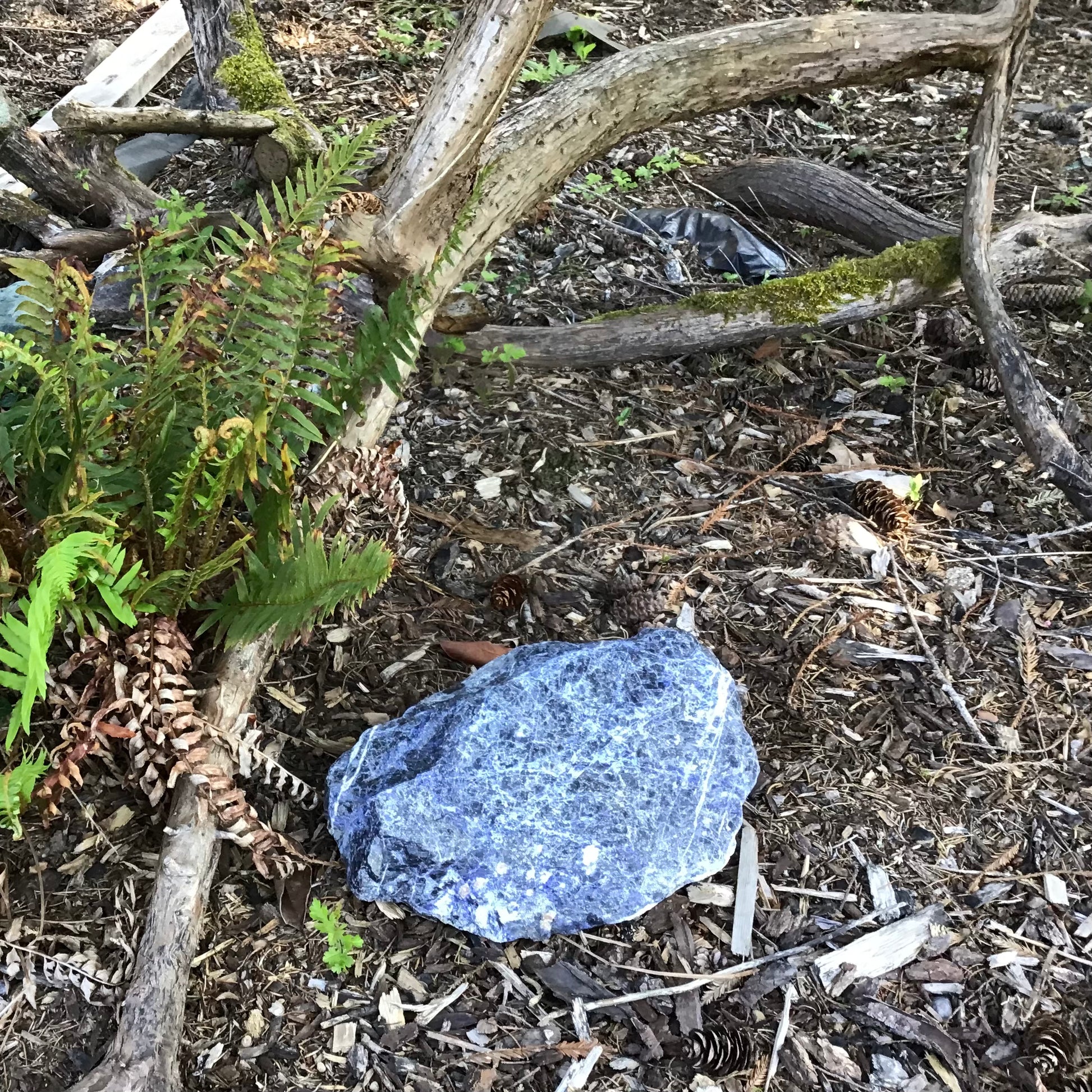 sodalite boulder true and blue