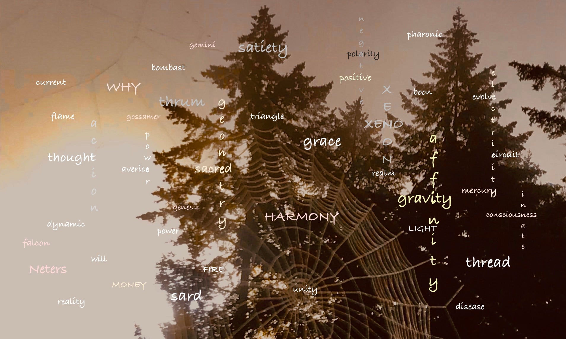 the Gossamer Glossary 
