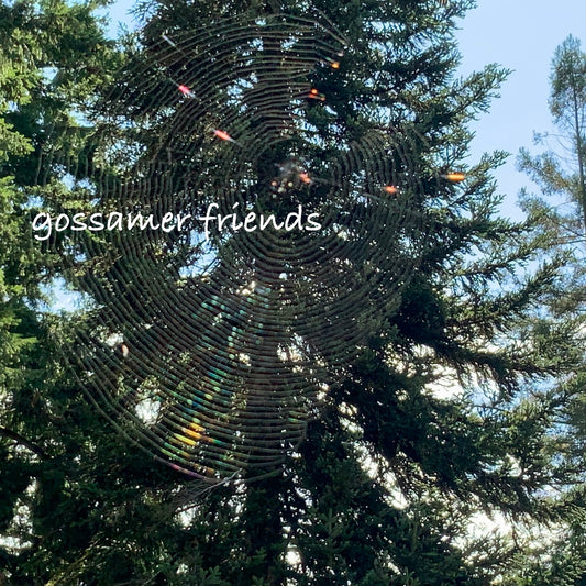 Gossamer Friend