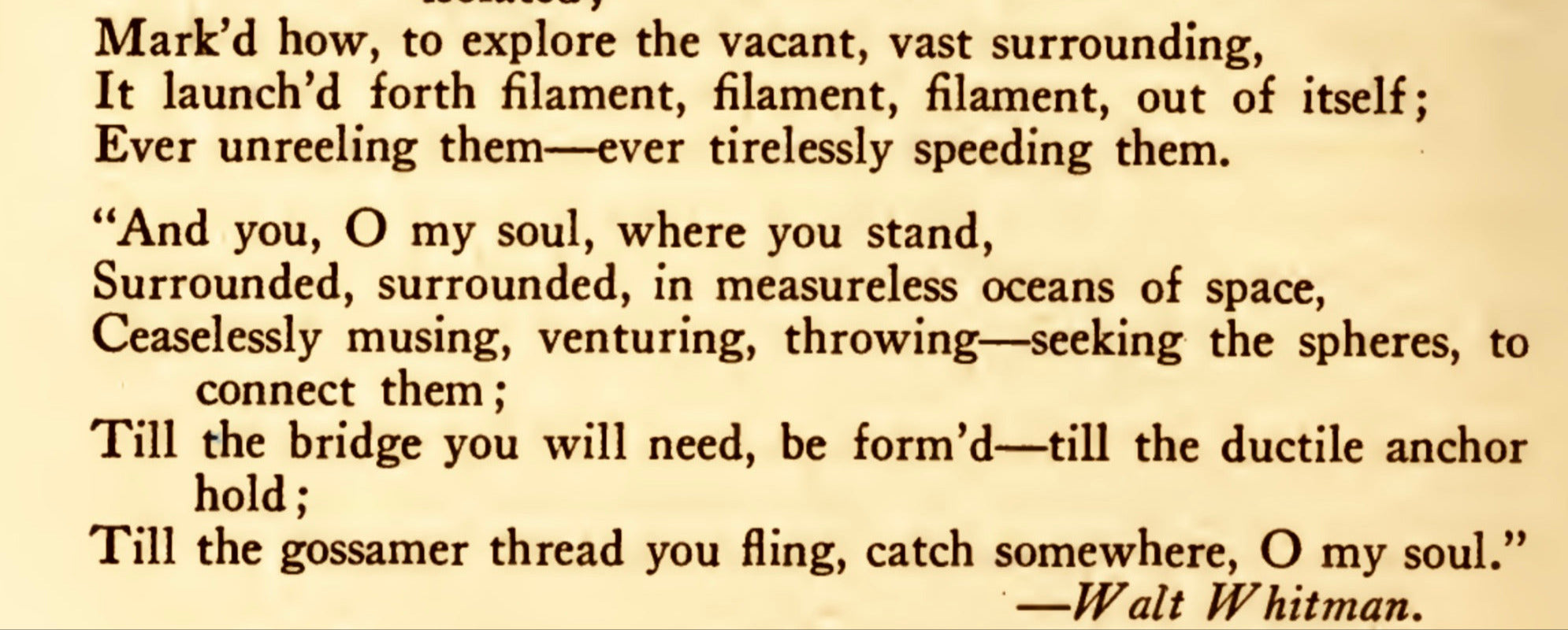 till_the_gossamer_thread_you_fling_catch_somewhere