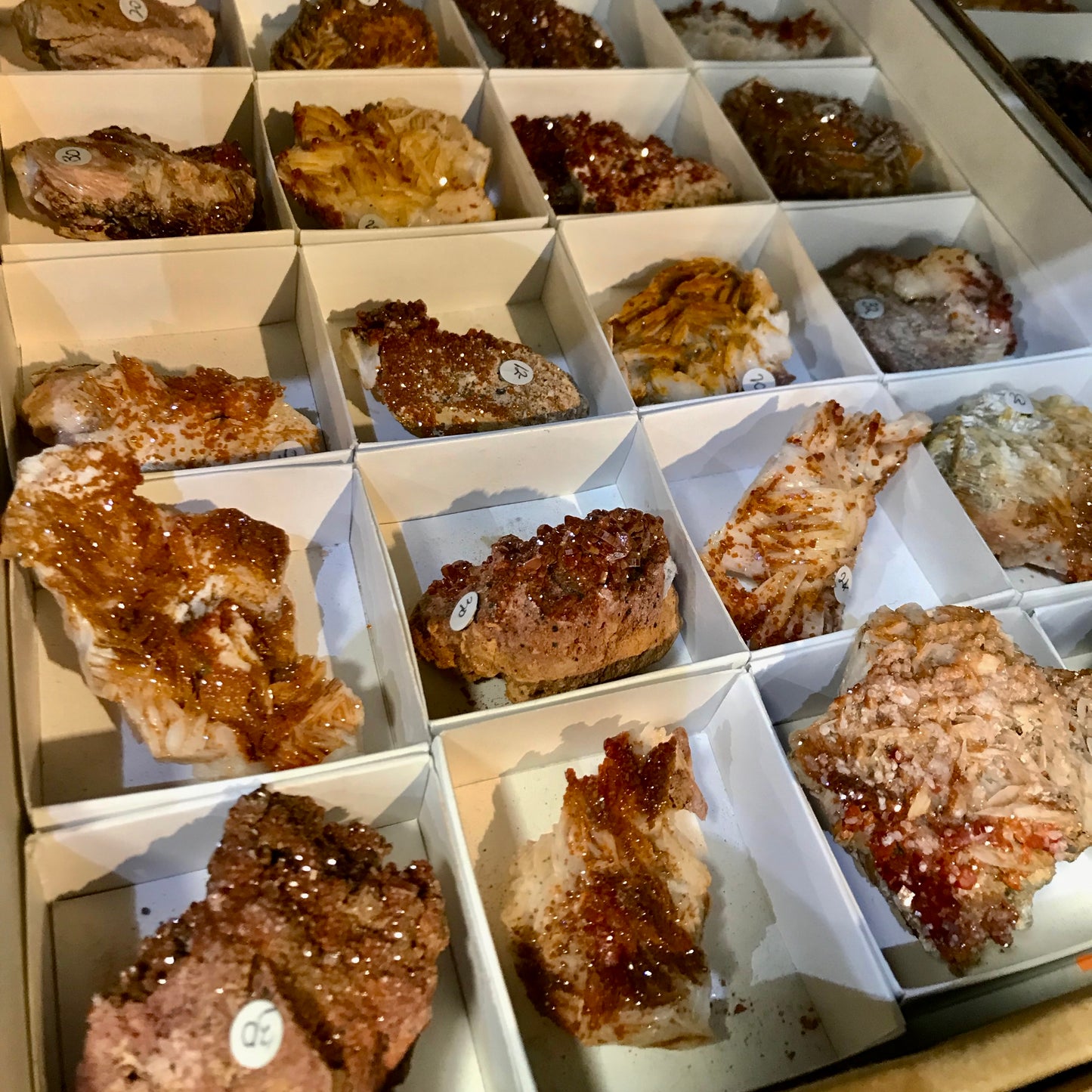 variety of vanadinite specimens